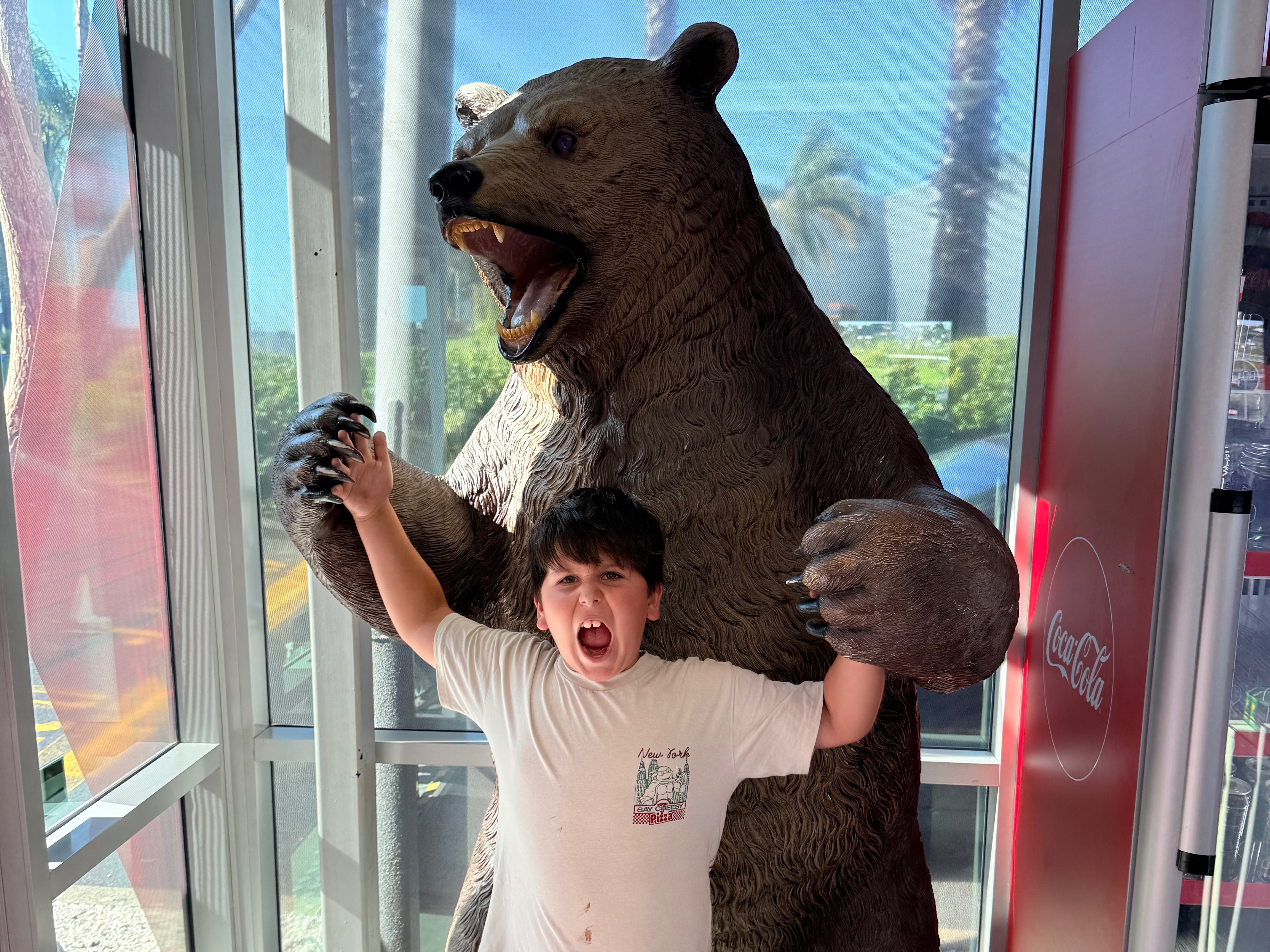 Matakana Sunday Market